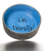 blue dog dish
