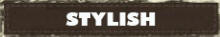 stylish dog collars and leads