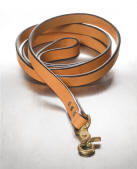 dog leash