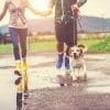 3 Ways to Give Your Dog a Happier and Safer Walk
